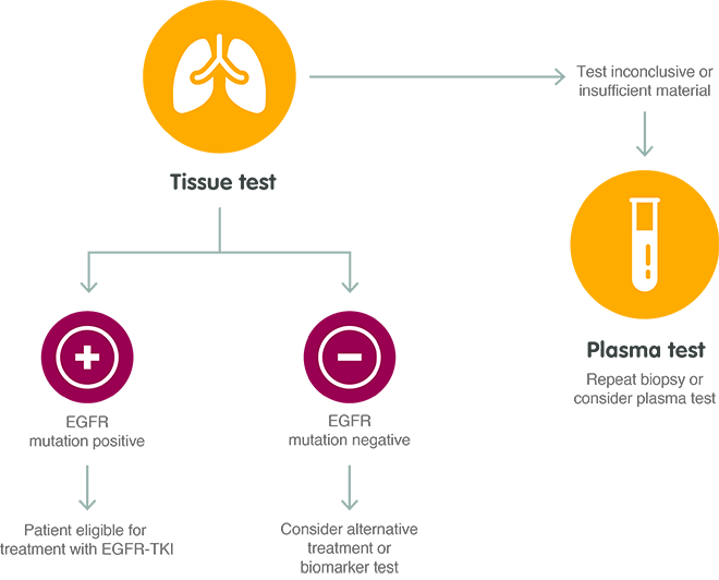 lung-diagram2